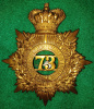 HP241 - 73rd Northumberland Regiment of Infantry QVC Helmet Plate